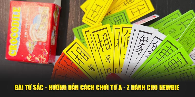 Cách Chơi Bài Tứ Sắc - Mẹo Hay Chi Tiết Từ Chuyên Gia