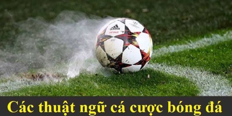 Thuật Ngữ Cá Độ Bóng Đá – Những Khái Niệm Quan Trọng Cần Nhớ