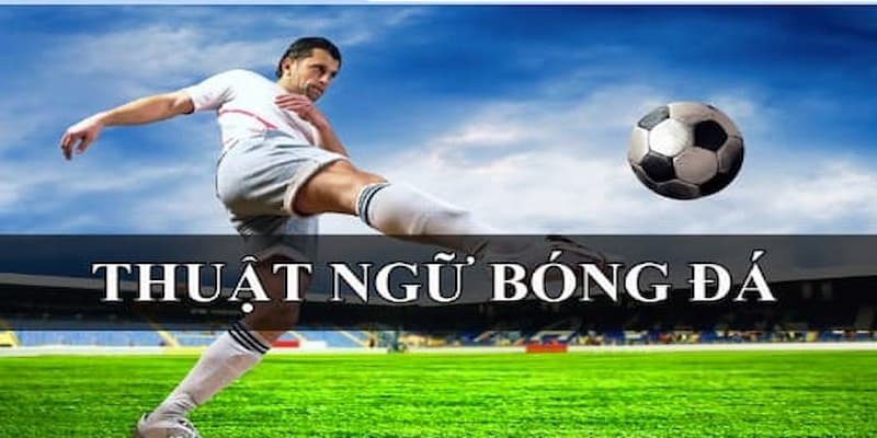 Nắm rõ các thuật ngữ khi chơi cá cược bóng đá