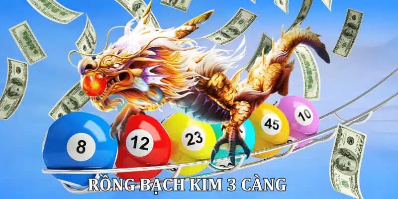 Thời điểm để soi cầu rồng bạch kim hợp lý nhất